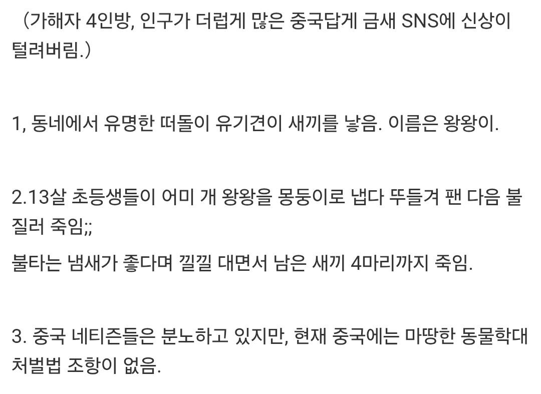 클릭하시면 원본 이미지를 보실 수 있습니다.