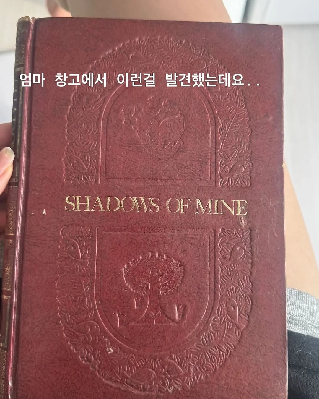 클릭하시면 원본 이미지를 보실 수 있습니다.