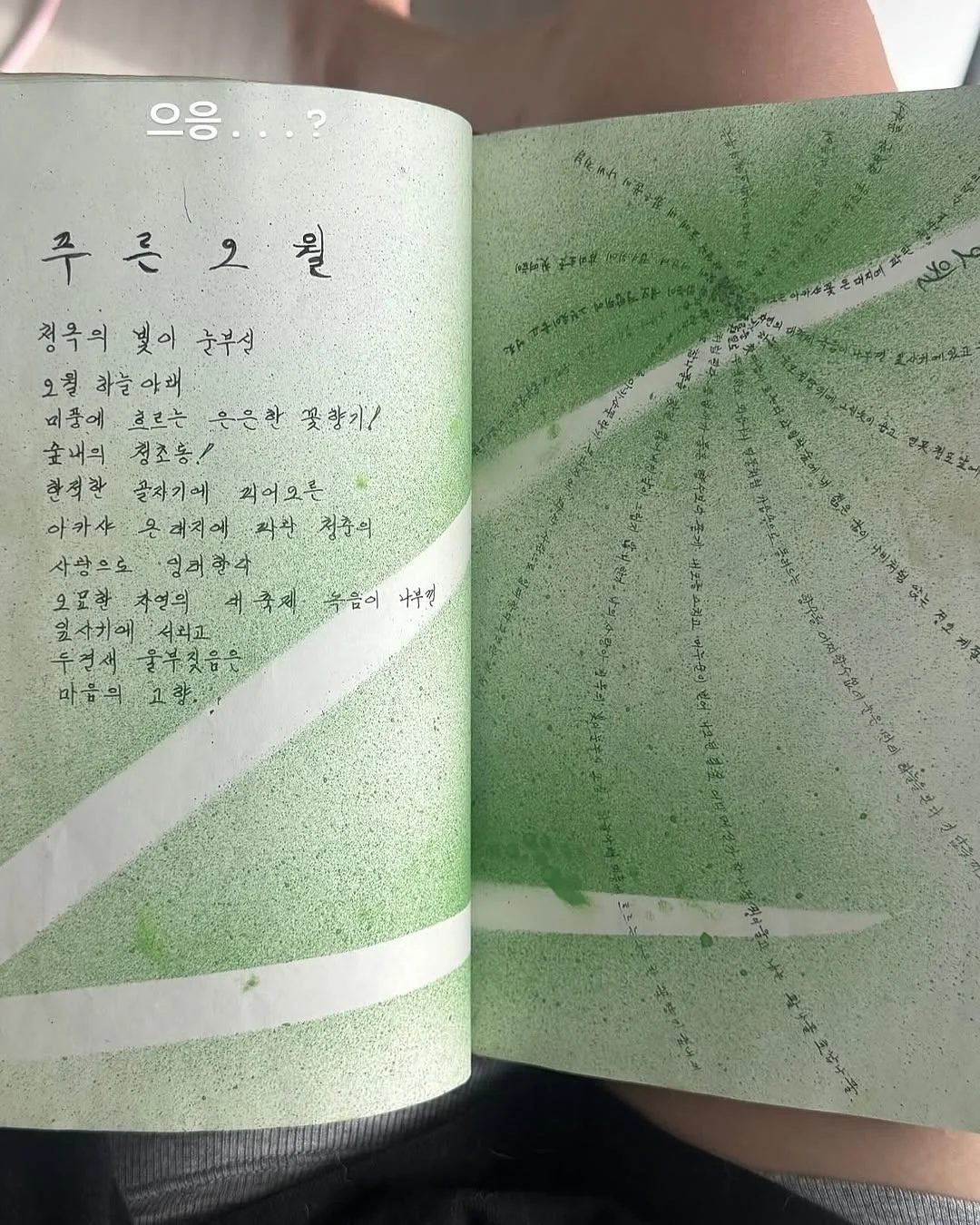 클릭하시면 원본 이미지를 보실 수 있습니다.