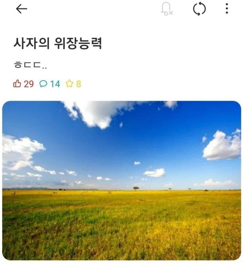 클릭하시면 원본 이미지를 보실 수 있습니다.