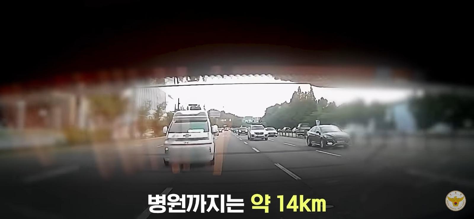 Screenshot_20260810_015644_YouTube.jpg
