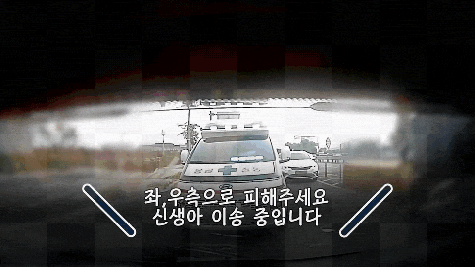 GIF_20260810_094624_467.gif