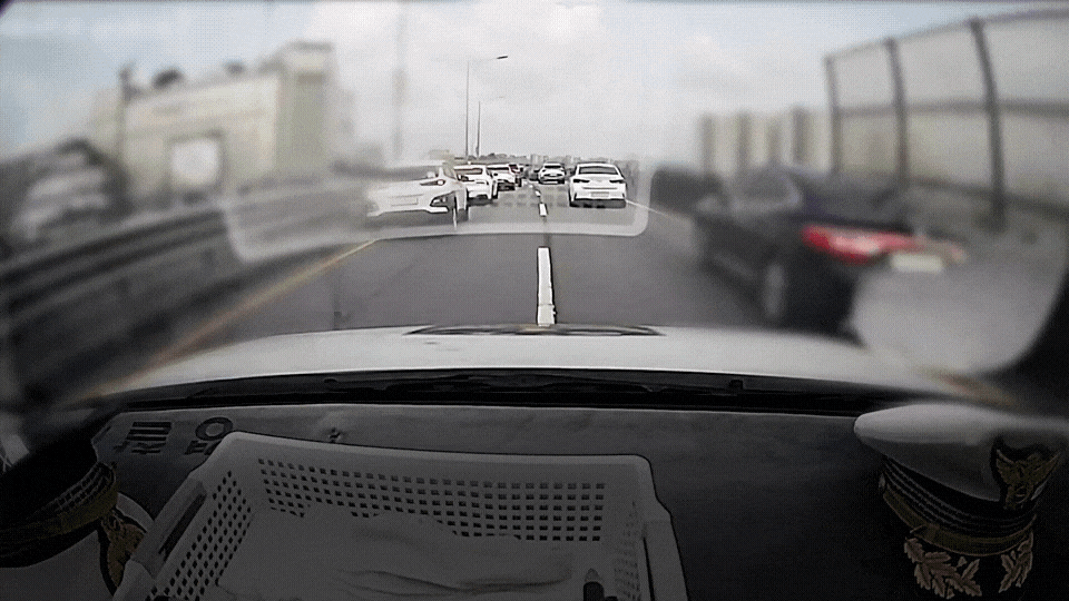 GIF_20260810_095012_356.gif