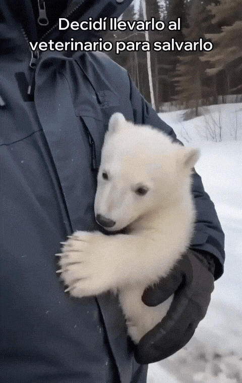 GIF_20260810_151153_072.gif