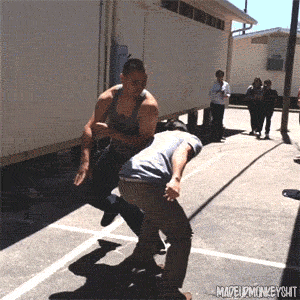d780c3ced42a64310f34b94992feee90.gif
