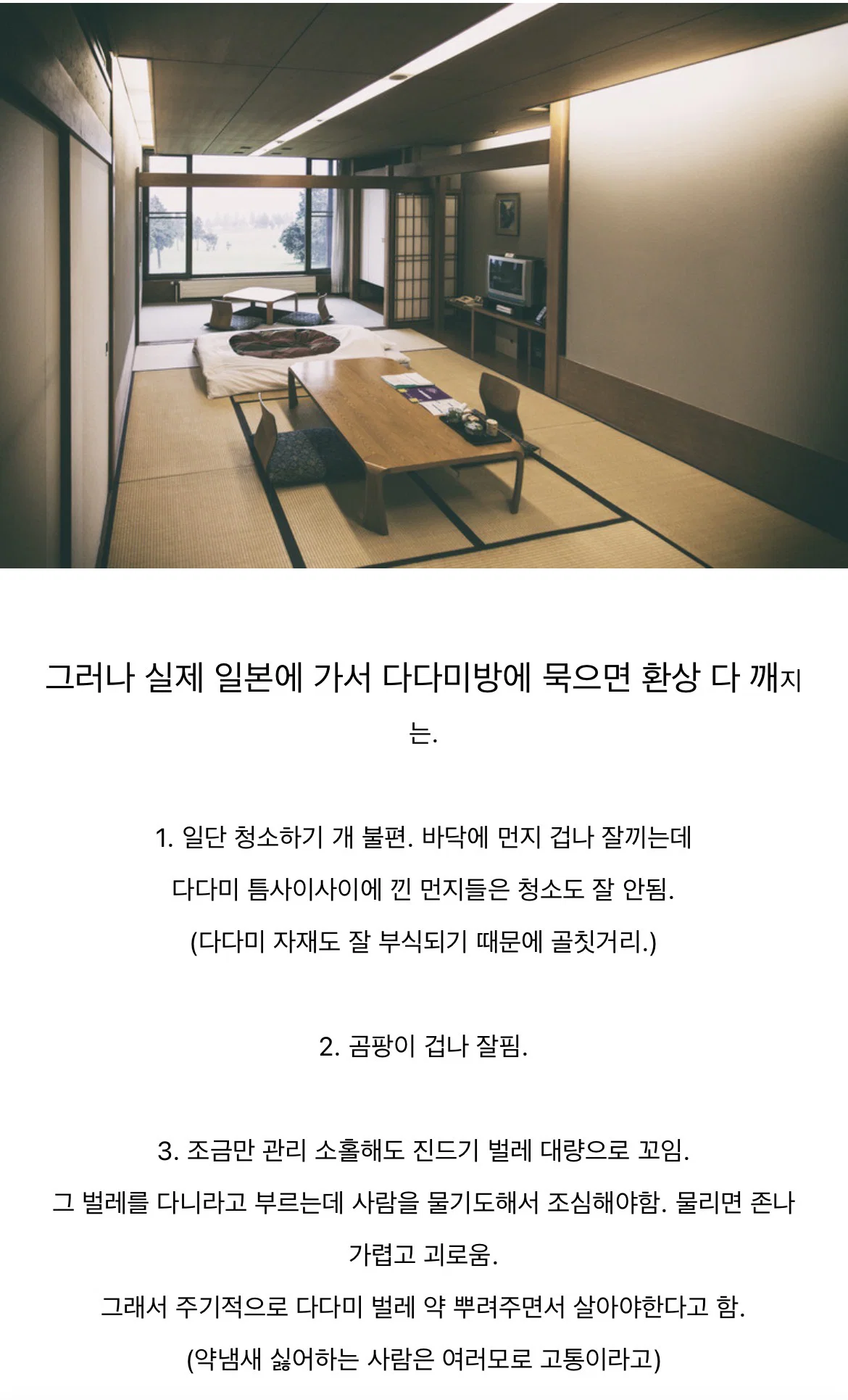 73.webp