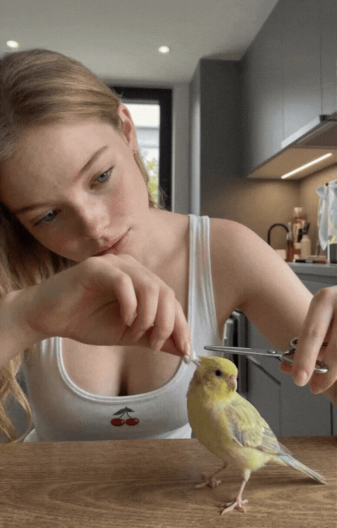 1000170202.gif