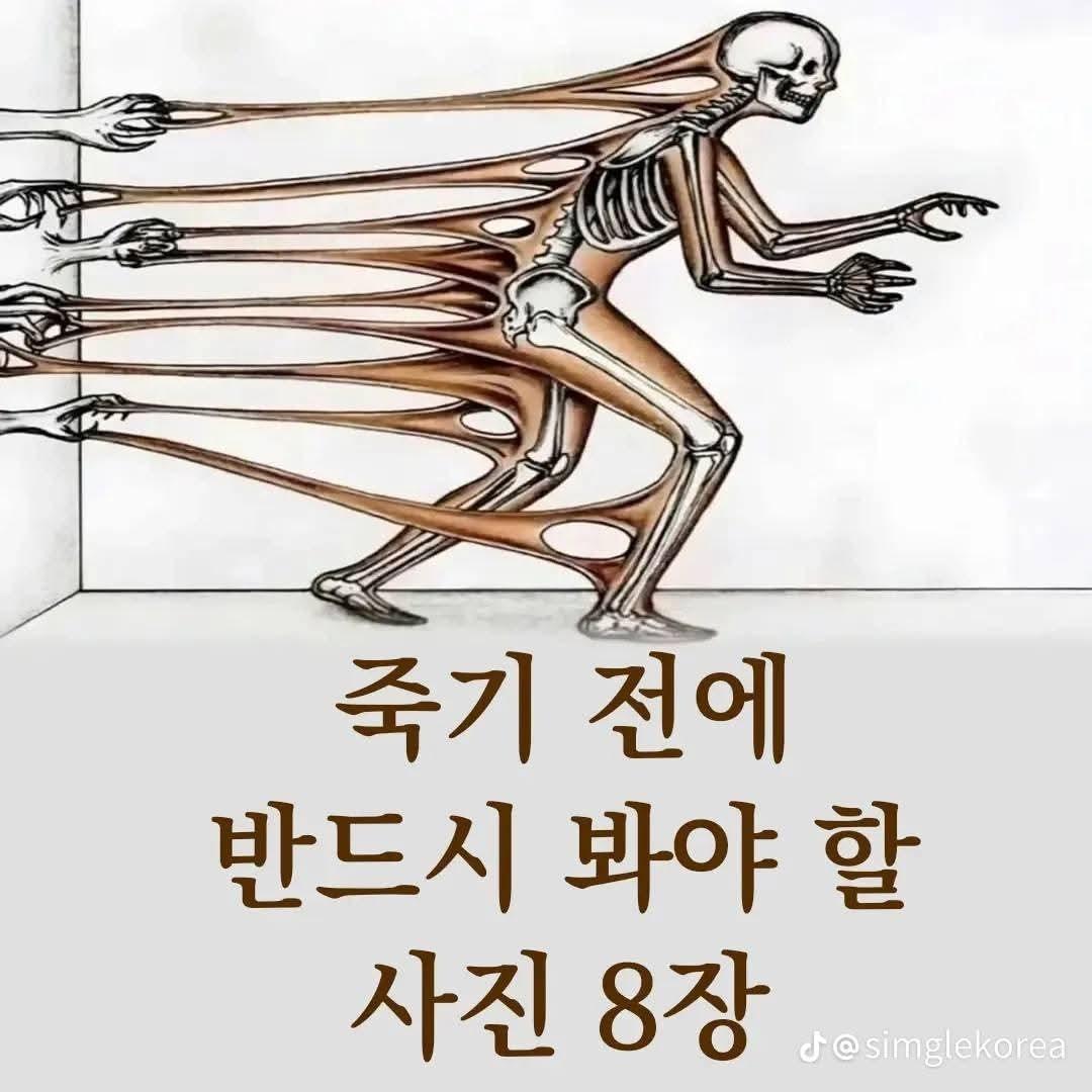 1000068600.jpg