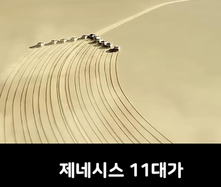 36787.jpg