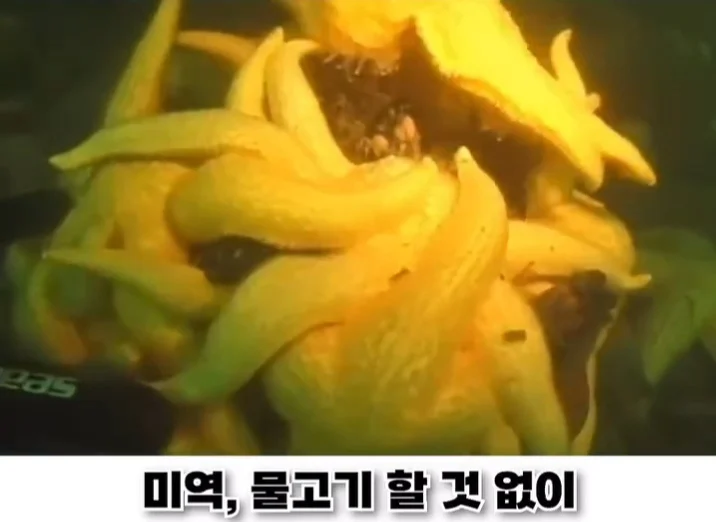 a33596785c9d98221953ca76cbedbde0.webp