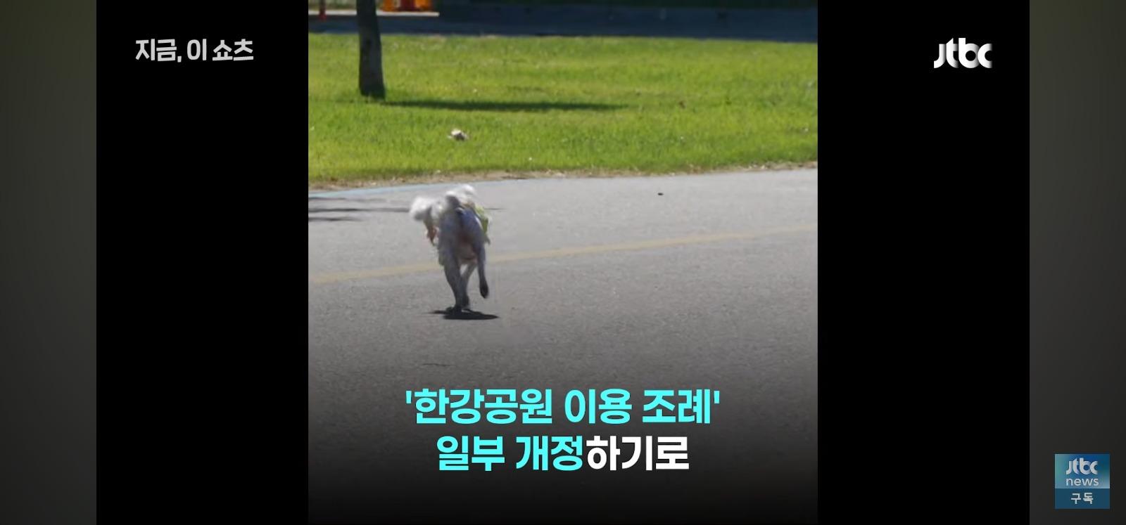 1000085309.jpg