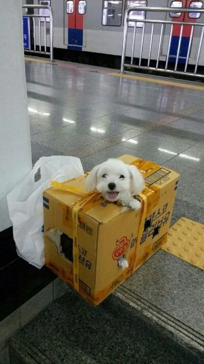 52cc86d7-8976-45ab-af9c-d417ed0b0976_2.webp