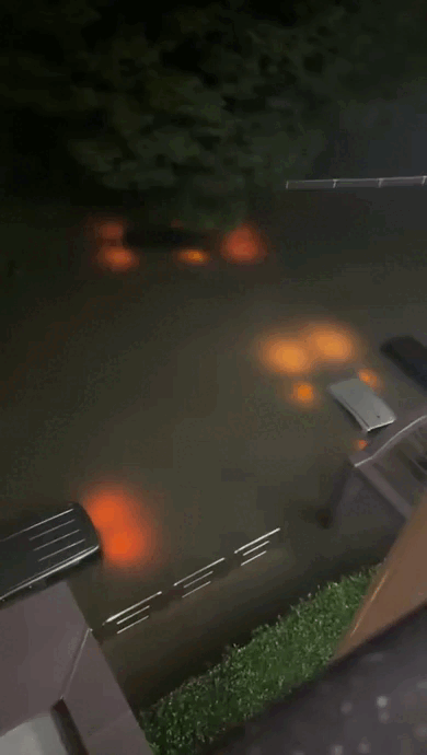 1000088136.gif