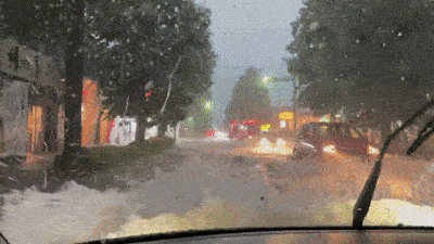 1000088139.gif