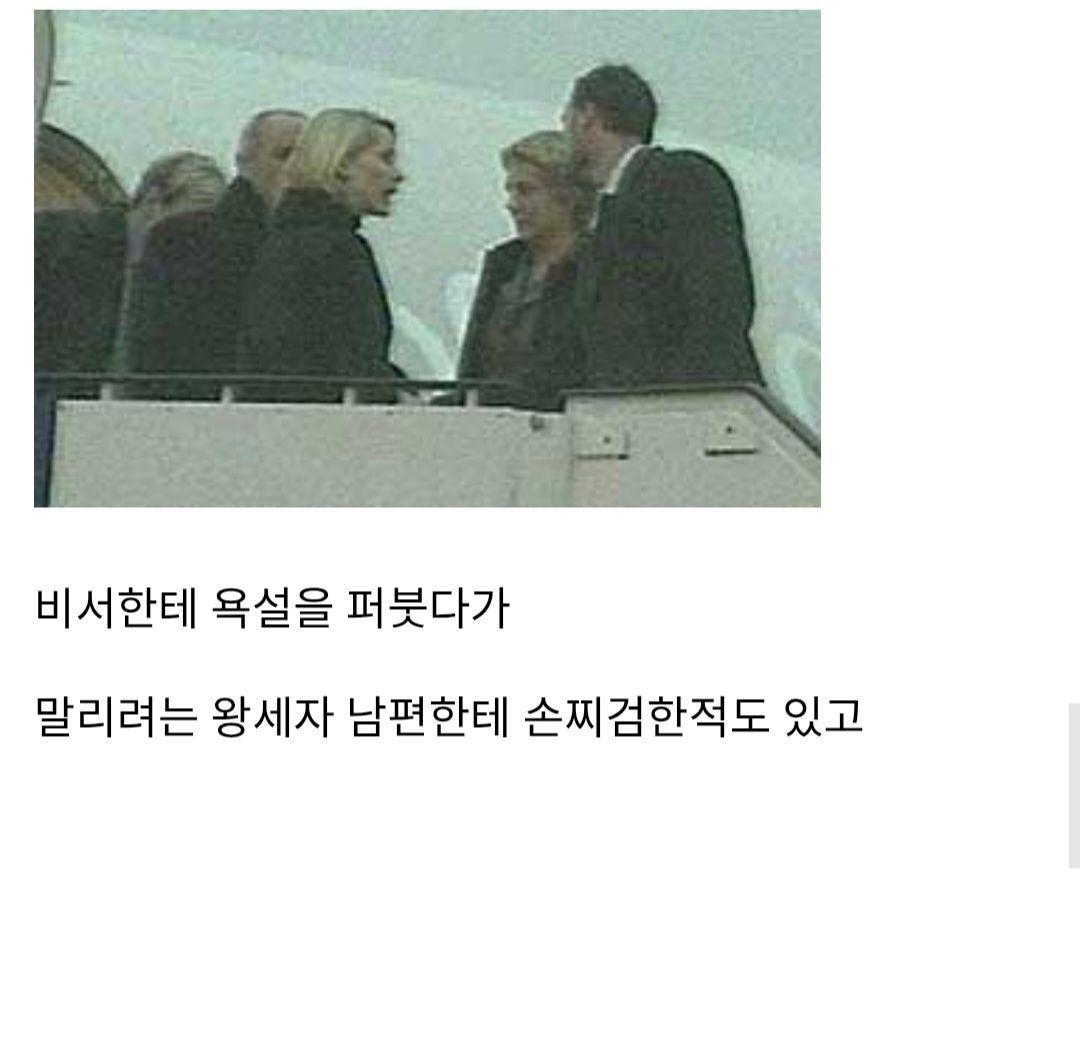 노르웨이 국왕도 피할 수 없었다는 설거지 - 유렉카 채널 004.jpg