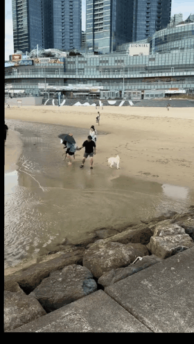 GIF_20260902_195810_951.gif