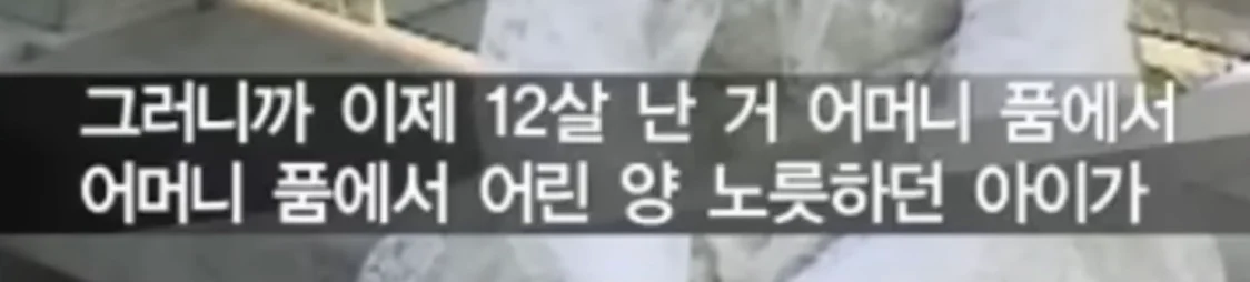 클릭하시면 원본 이미지를 보실 수 있습니다.