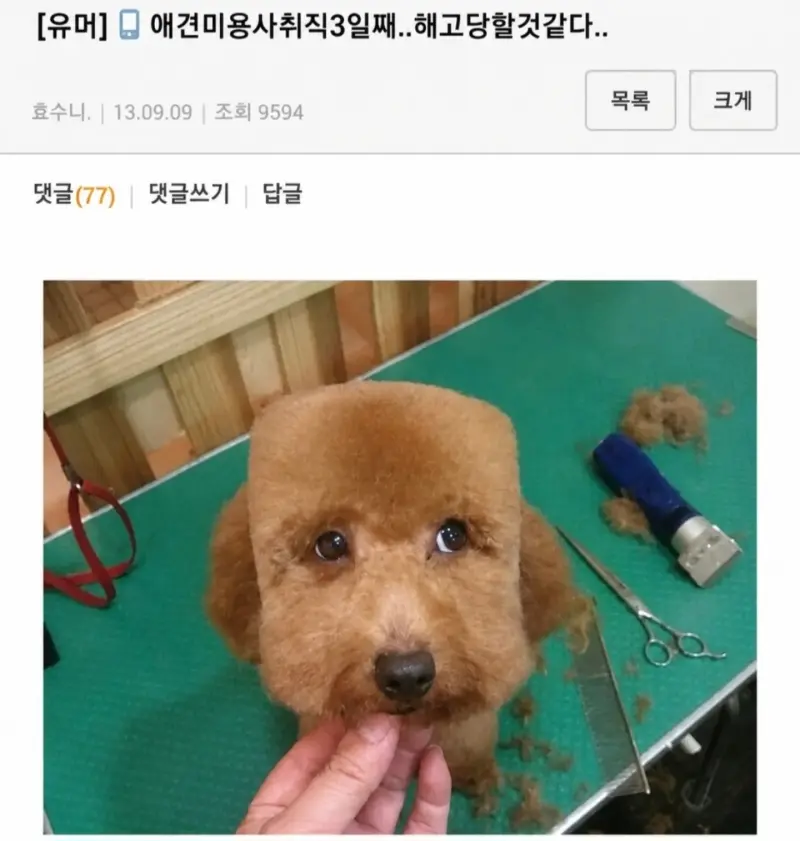클릭하시면 원본 이미지를 보실 수 있습니다.