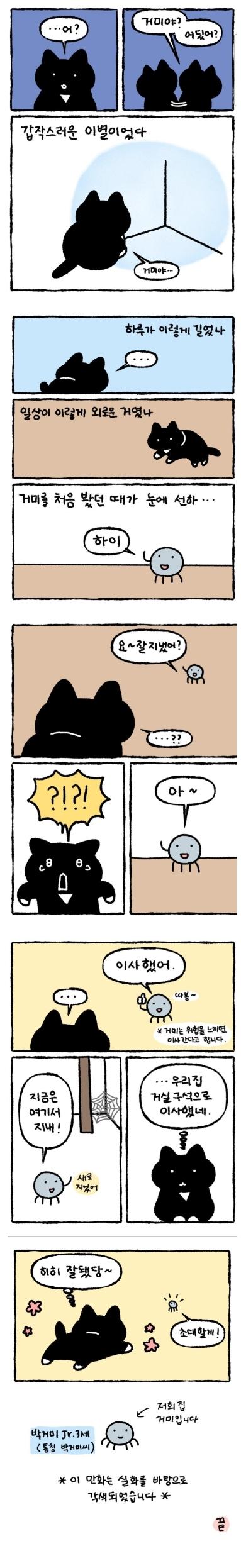 998.jpg