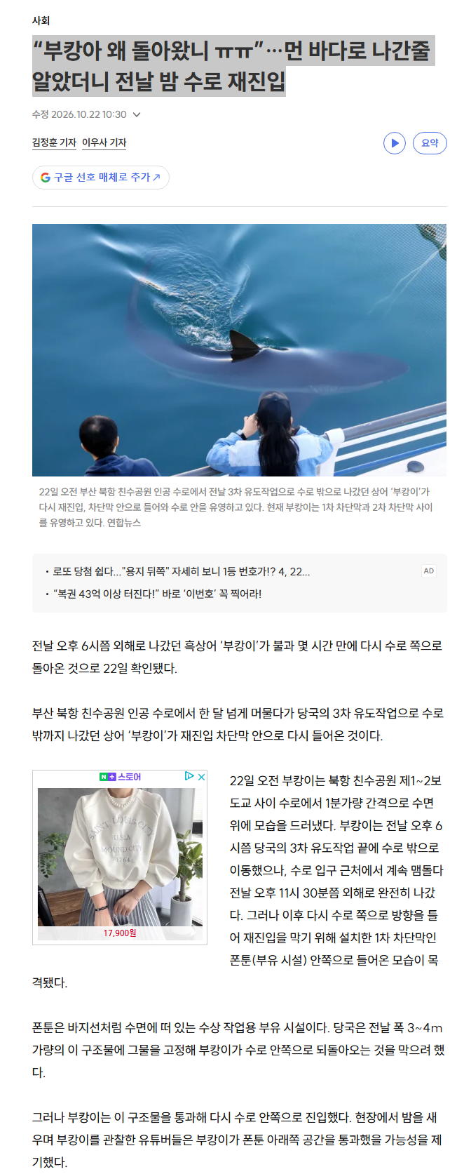 클릭하시면 원본 이미지를 보실 수 있습니다.