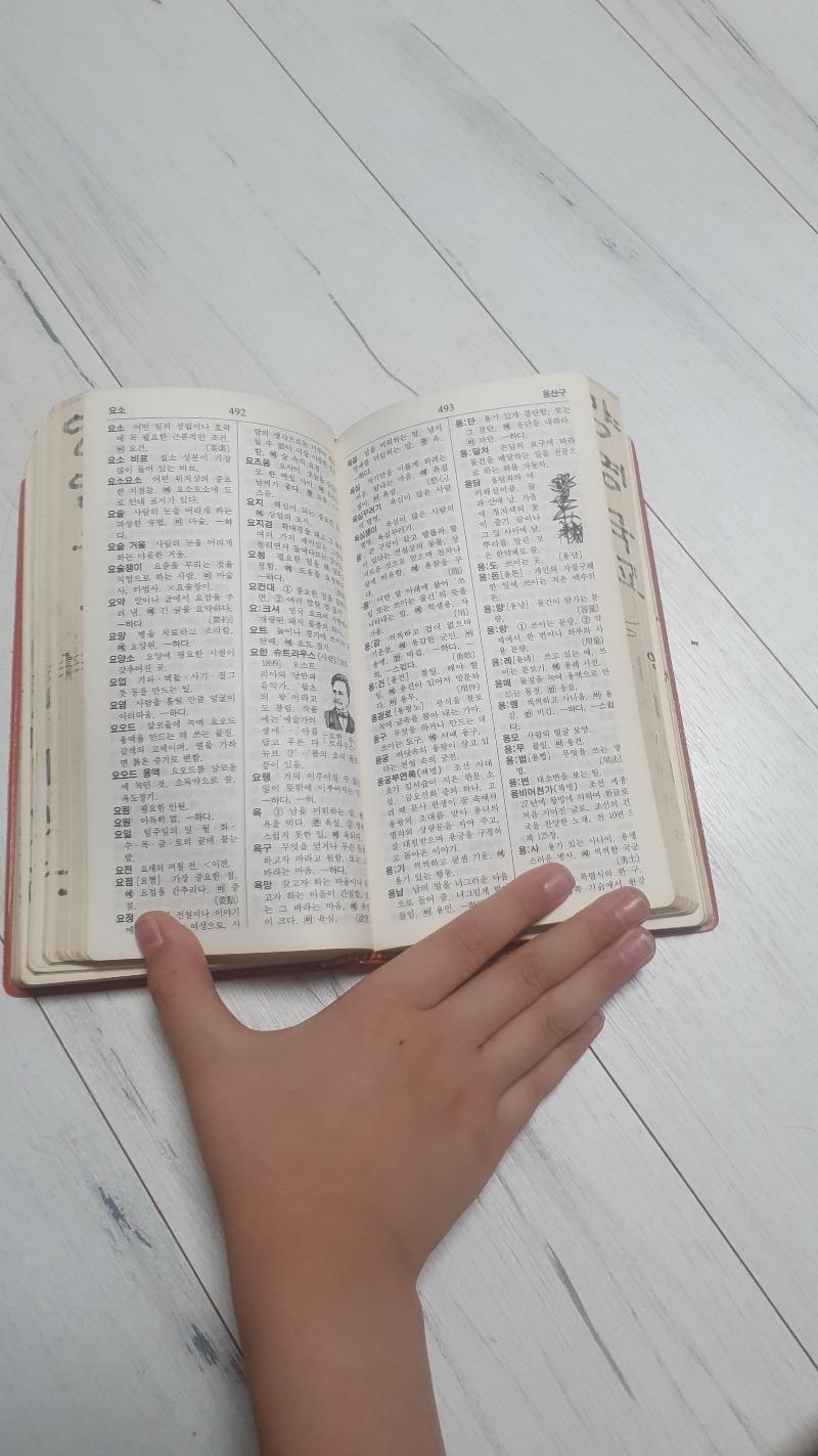 1748857490941.jpg