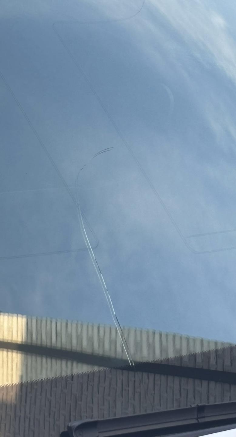IMG_7939.jpeg