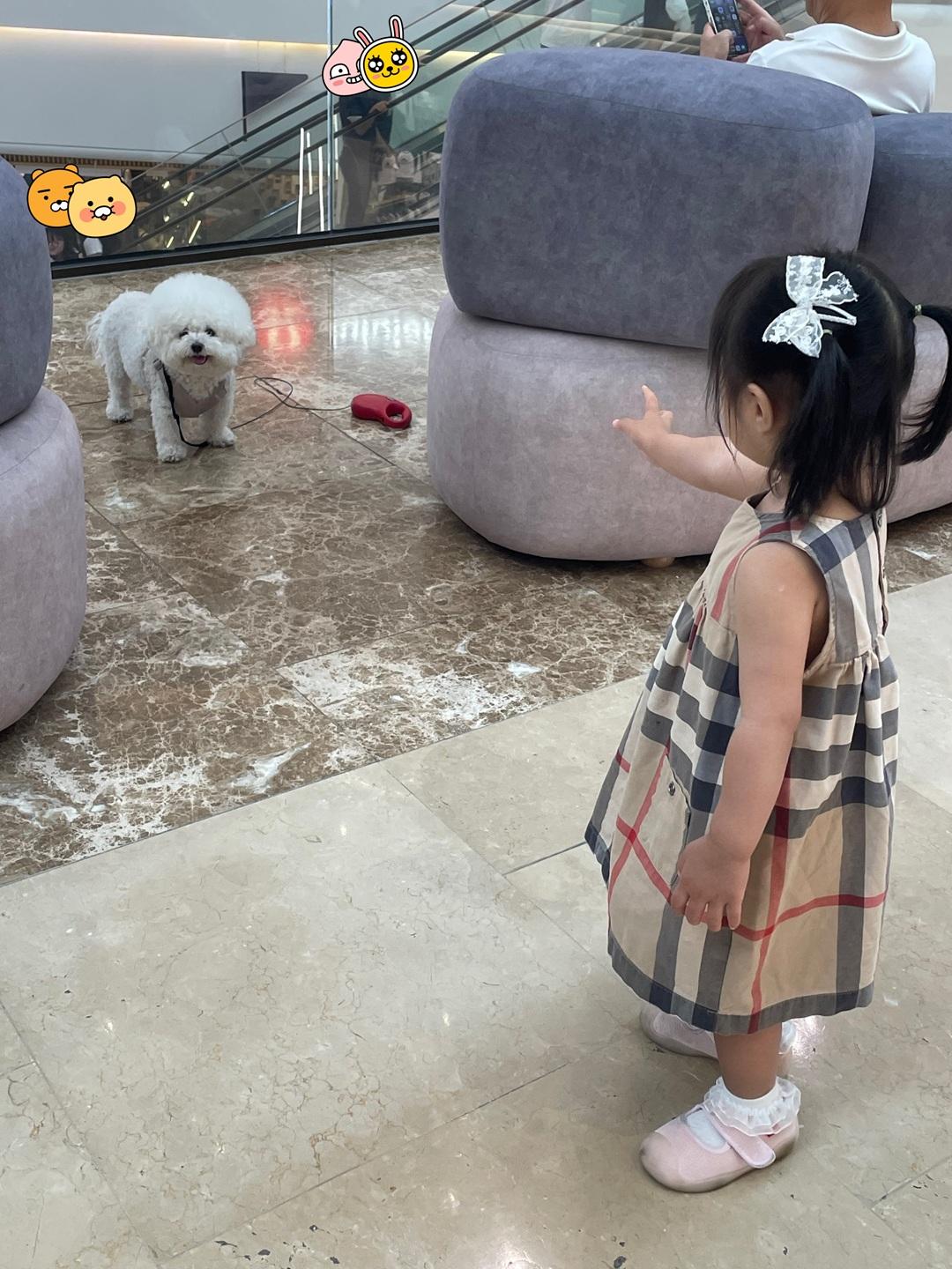 KakaoTalk_20260712_200647290.jpg