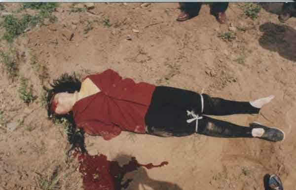 중국 트럭 자전거 사고