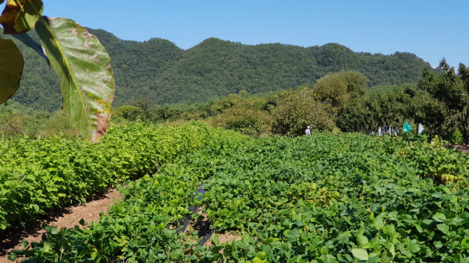 클릭하시면 원본 이미지를 보실 수 있습니다.