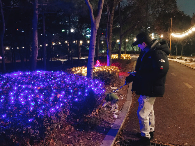보배수선 이미지
