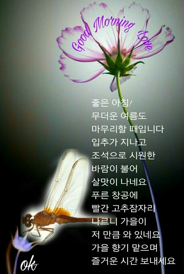 좋은 아침! (9월6일 금요일) | 보배드림 자유게시판 좋은 아침!  (9월6일 금요일) | 보배드림 자유게시판
