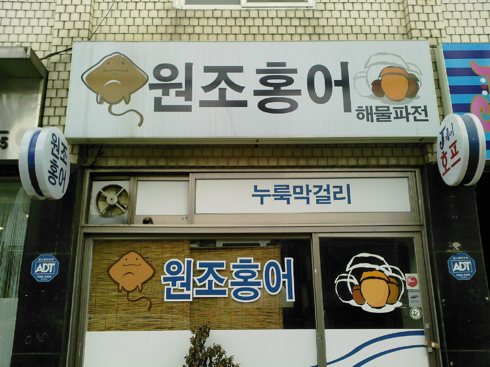 원조 홍어 | 보배드림 정치게시판
