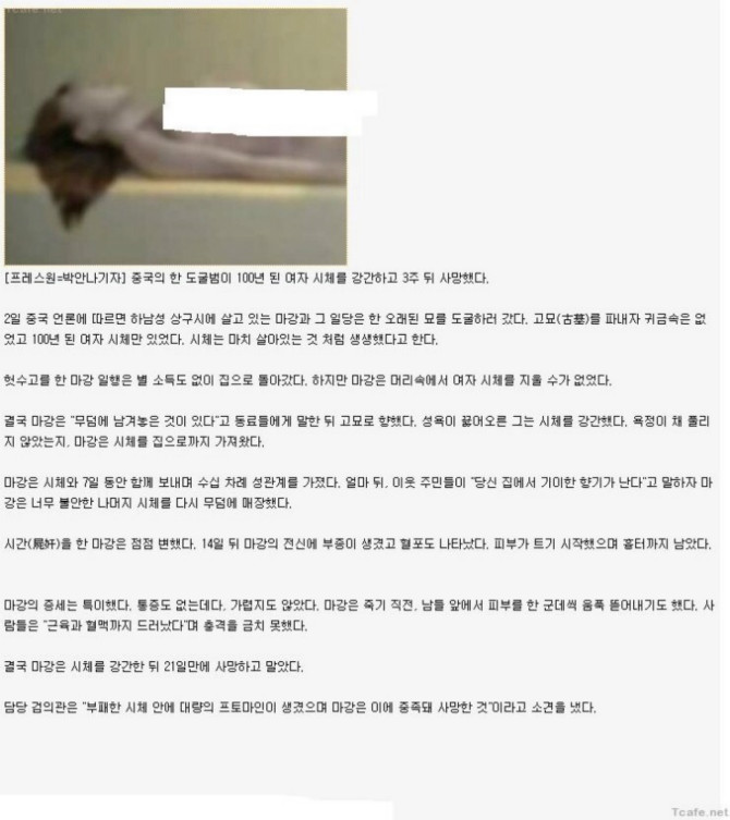 대륙의 도굴범의 강간 | 보배드림 유머게시판