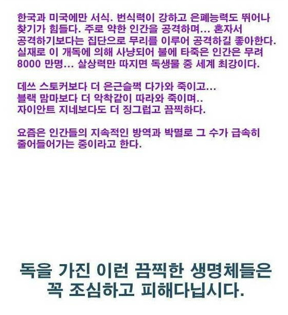 클릭하시면 원본 이미지를 보실 수 있습니다.