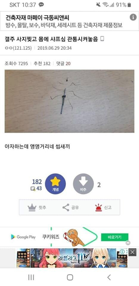 클릭하시면 원본 이미지를 보실 수 있습니다.