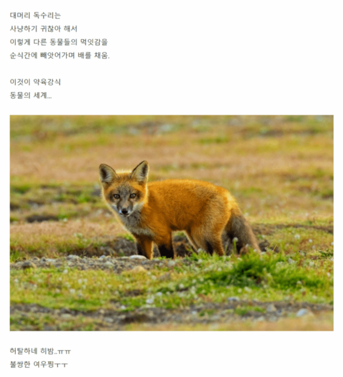 클릭하시면 원본 이미지를 보실 수 있습니다.