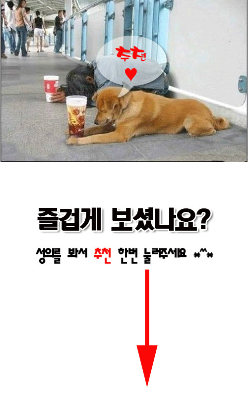 Ŭ¸¯ÇÏ½Ã¸é ¿øº» À̹ÌÁö¸¦ º¸½Ç ¼ö ÀÖ½À´Ï´Ù.