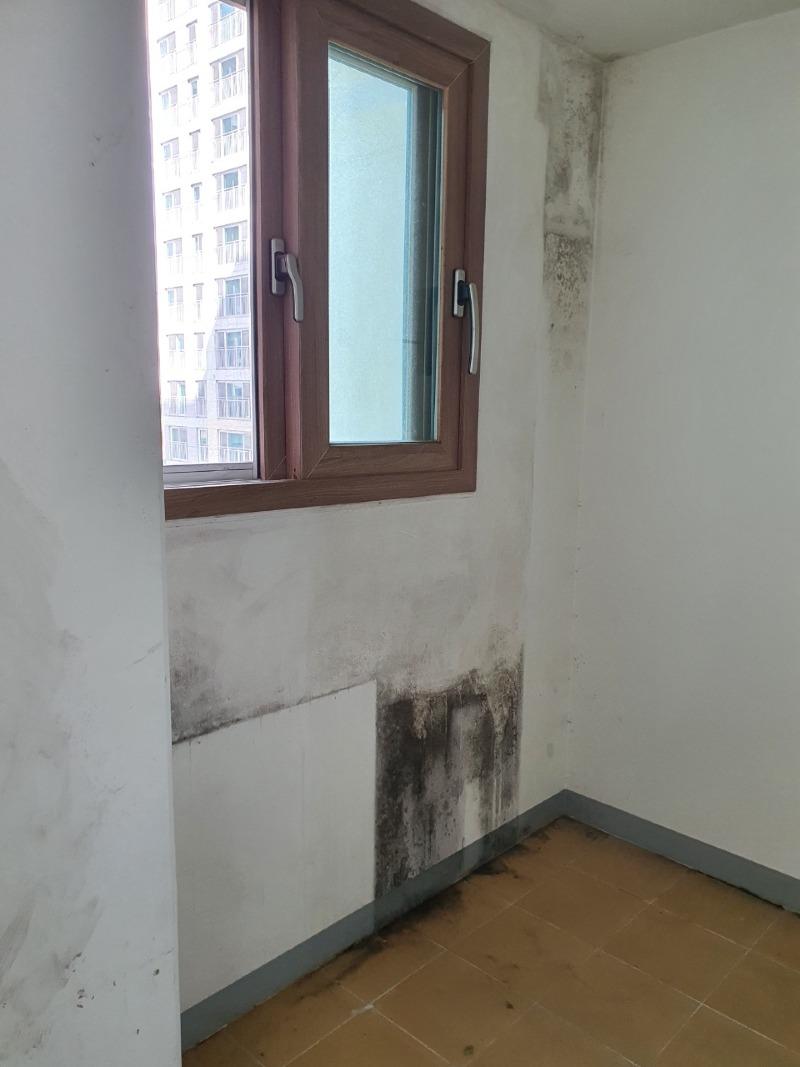 KakaoTalk_20210712_235415747.jpg