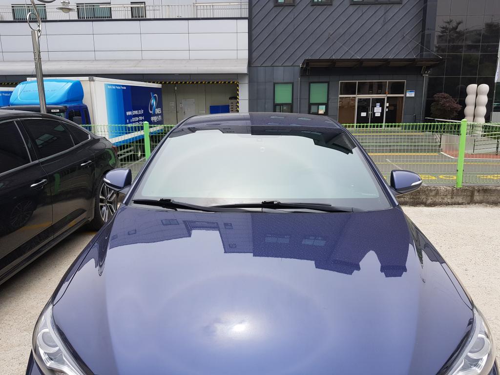 제 차 선팅농도에유 | 보배드림 국산차게시판