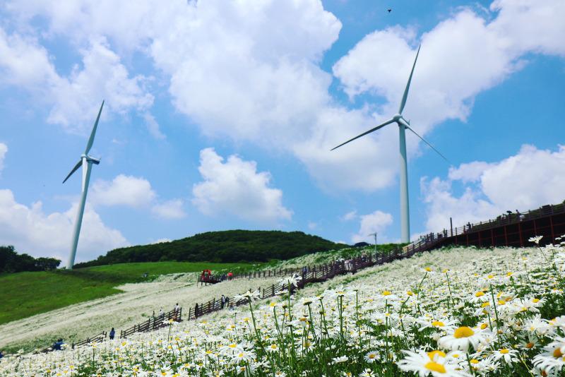 육백마지기 다녀와씀다ㄷㄷ | 보배드림 국산차게시판