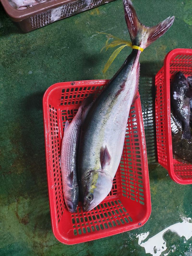 우어어어어어 현기증 조온나 난다!!! | 보배드림 국산차게시판