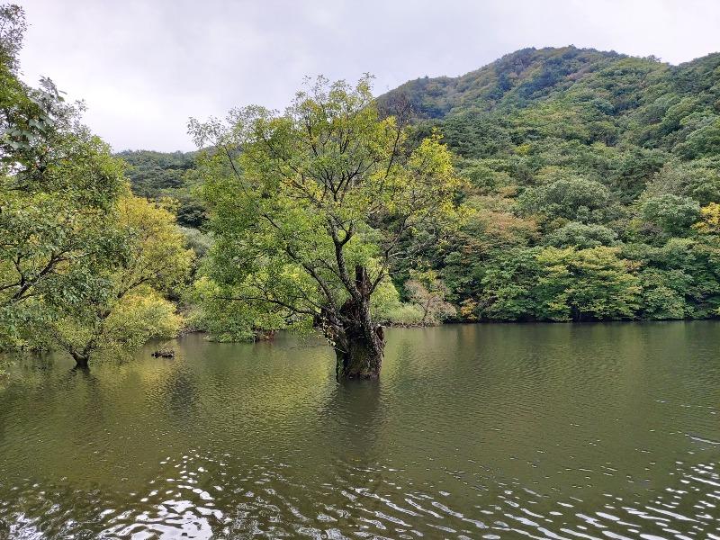 청송 여행 | 보배드림 국산차게시판