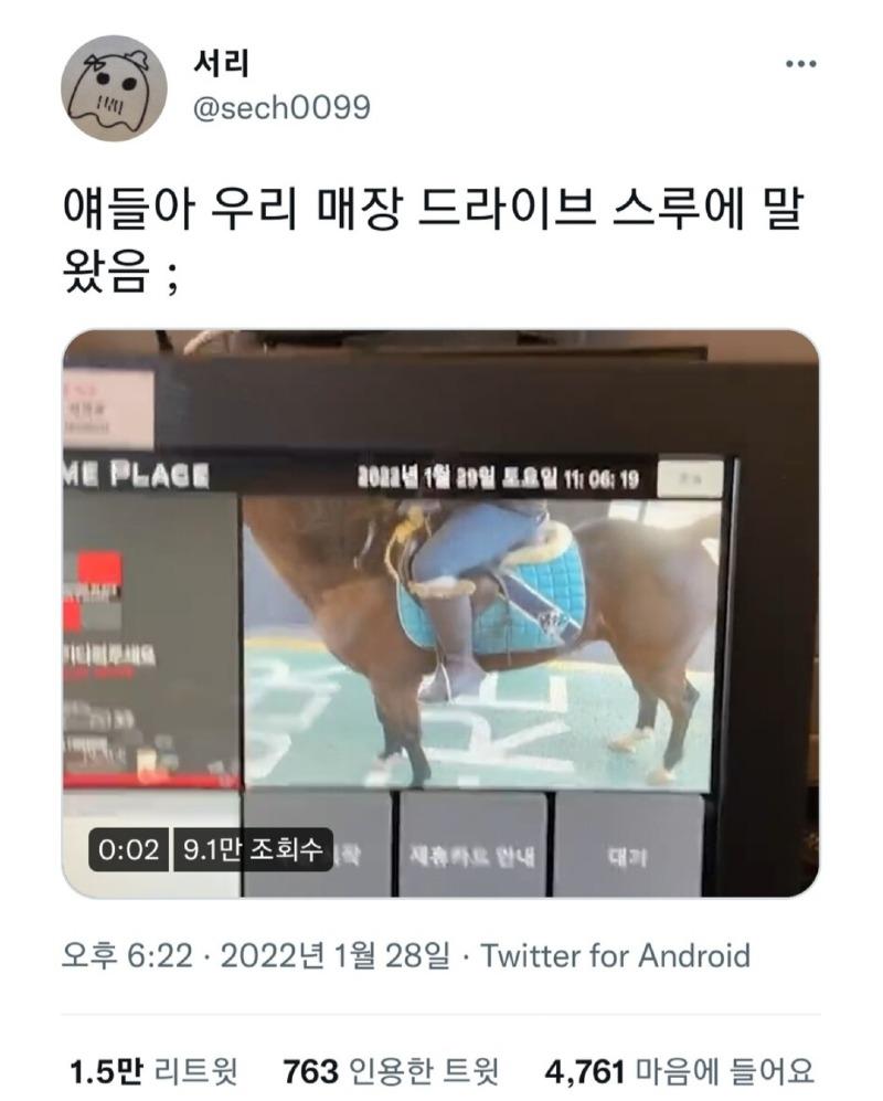 드라이브 스루에 나타난 | 보배드림 국산차게시판