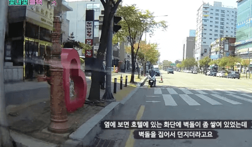 레전드 무단횡단 | 보배드림 국산차게시판