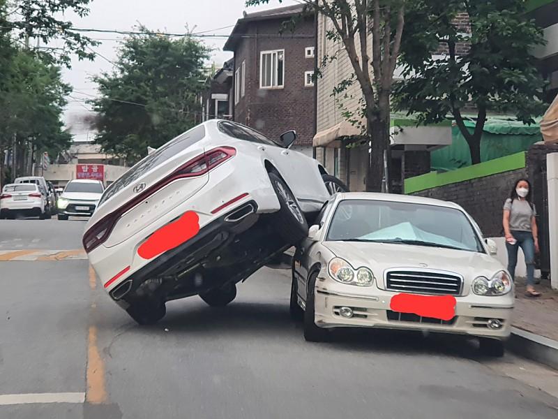 이 구역의 또라이는 나다 | 보배드림 국산차게시판