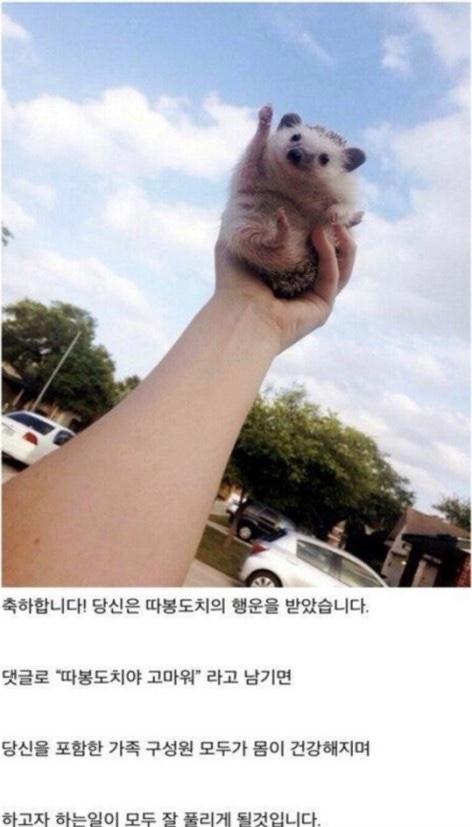 따봉 이미지
