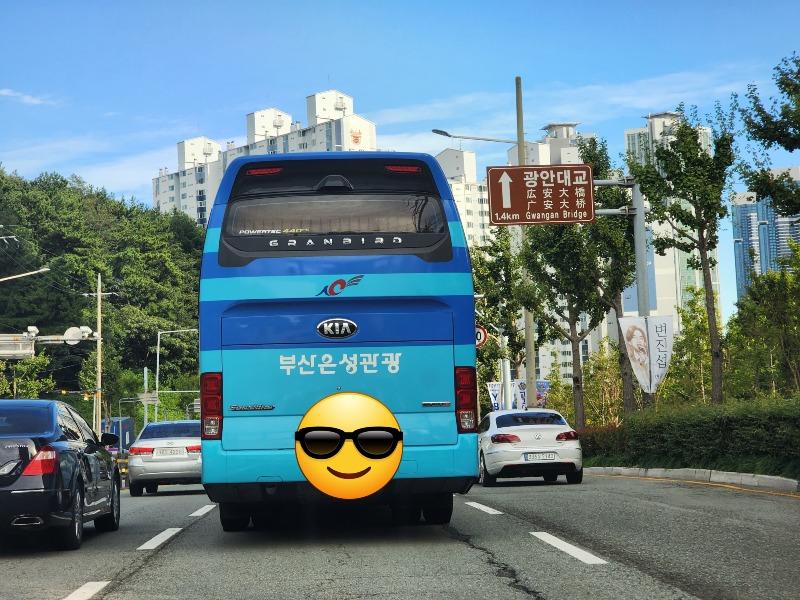 부산은 성관광 | 보배드림 국산차게시판