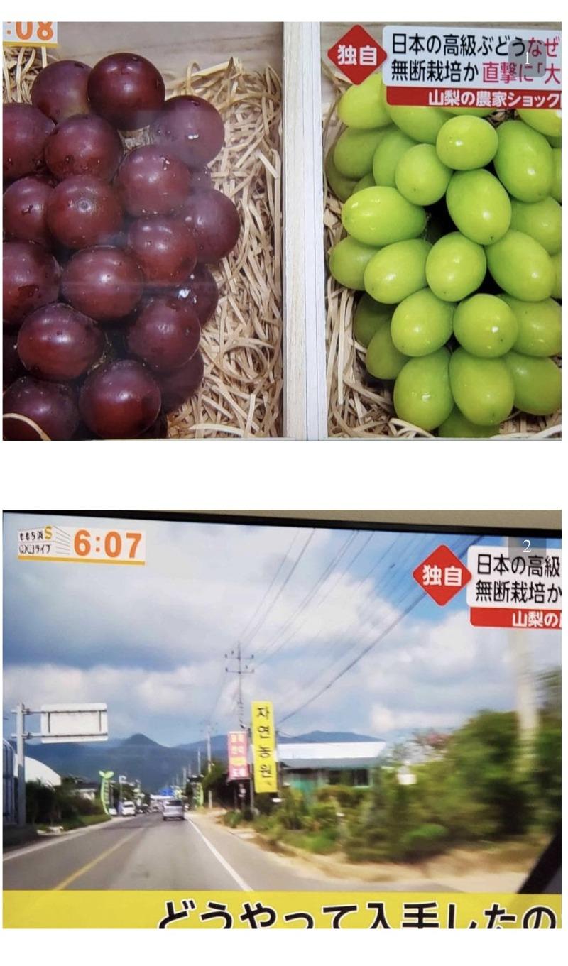 루비드림 이미지