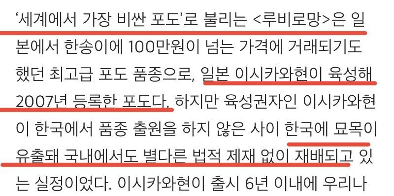 루비드림 이미지