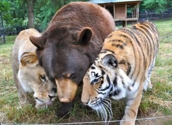 우정복사 이미지